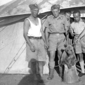 Wojtek: La historia de un oso luchador