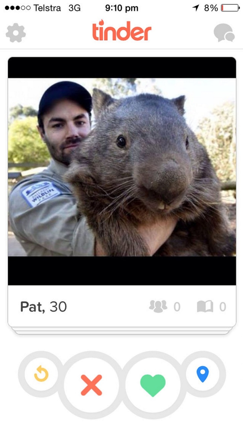 Wombat gigante cumple 30 años y se registra en Tinder