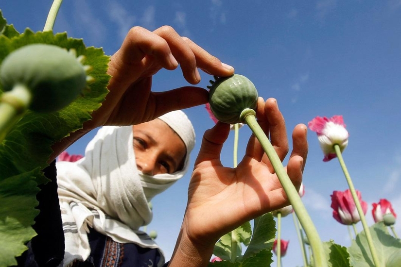 World Day against Child Labor