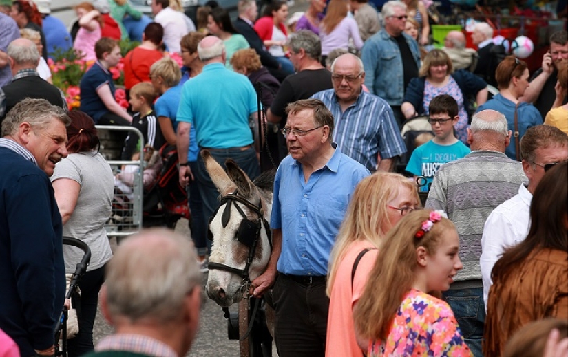 World&#39;s first sheep dung spitting competition