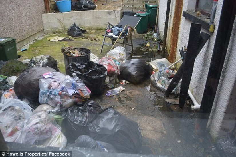 Worse than pigs: landlord got 5 thousand pounds for cleaning after untidy tenants