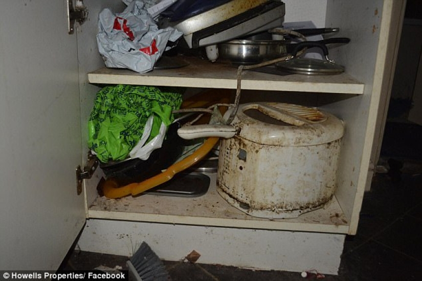 Worse than pigs: landlord got 5 thousand pounds for cleaning after untidy tenants