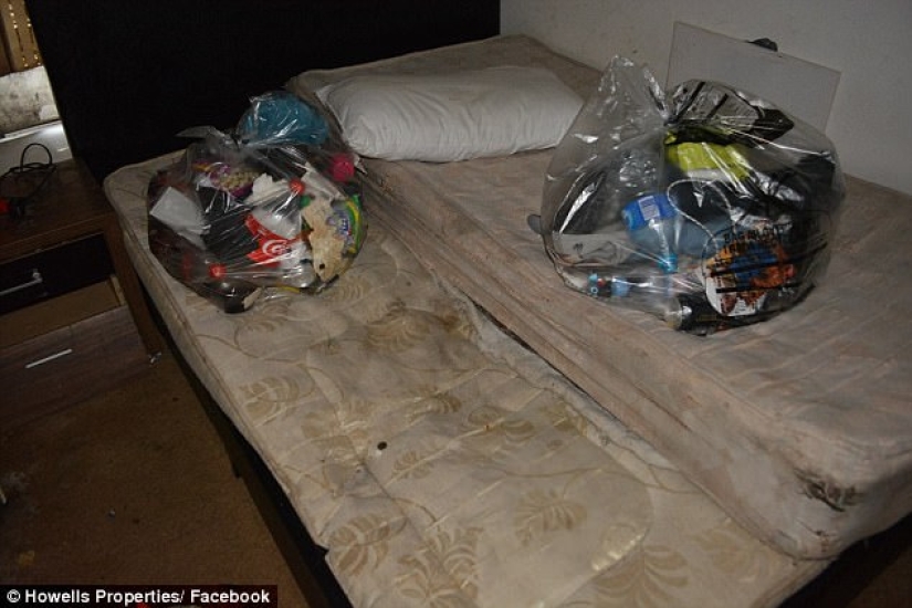 Worse than pigs: landlord got 5 thousand pounds for cleaning after untidy tenants