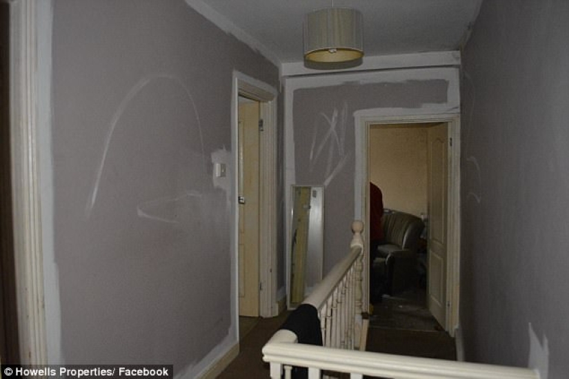 Worse than pigs: landlord got 5 thousand pounds for cleaning after untidy tenants