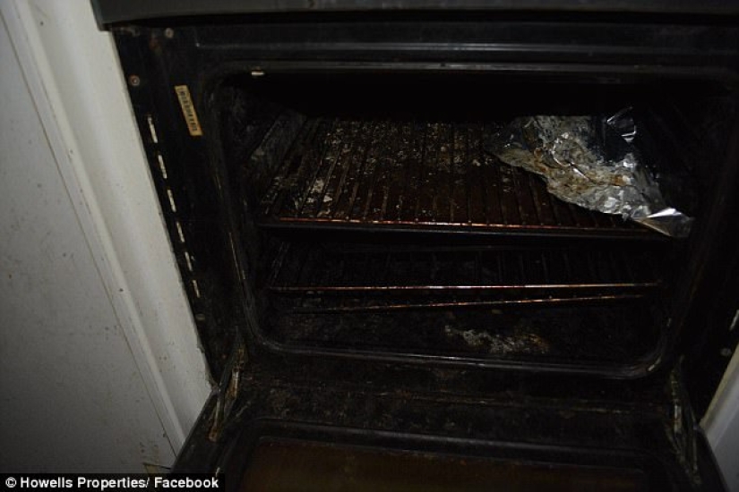 Worse than pigs: landlord got 5 thousand pounds for cleaning after untidy tenants