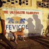 Y de nuevo una selección de fotos tomadas en el momento justo