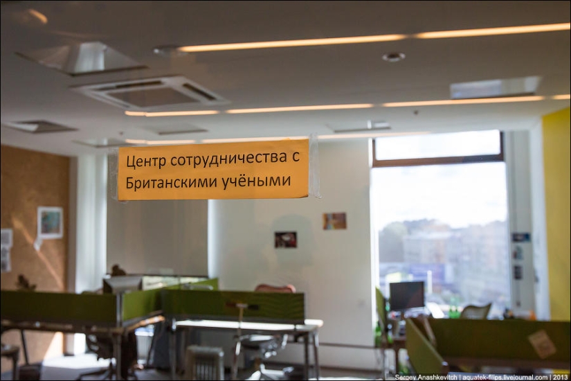 Yandex St. Petersburg Office