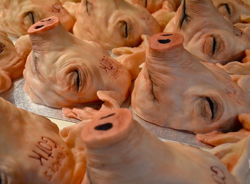 You will be shocked by these cakes!