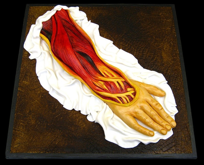 You will be shocked by these cakes!