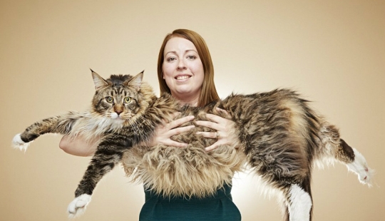 You won't believe it: new achievements included in the Guinness Book of Records You won't believe it: new achievements included in the Guinness Book of Records