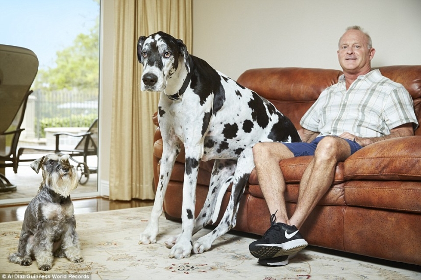 You won't believe it: new achievements included in the Guinness Book of Records
