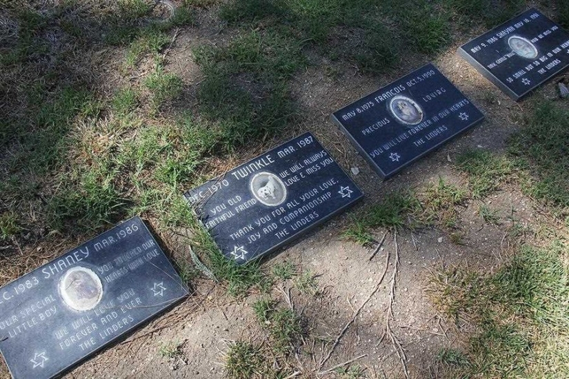 You&#39;ll Live Forever In Our Hearts: Los Angeles Pet Cemetery Photos