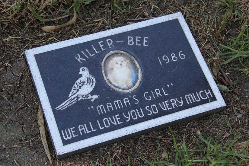 You&#39;ll Live Forever In Our Hearts: Los Angeles Pet Cemetery Photos