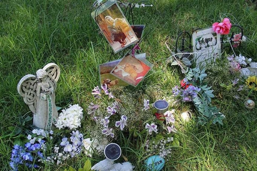 You&#39;ll Live Forever In Our Hearts: Los Angeles Pet Cemetery Photos