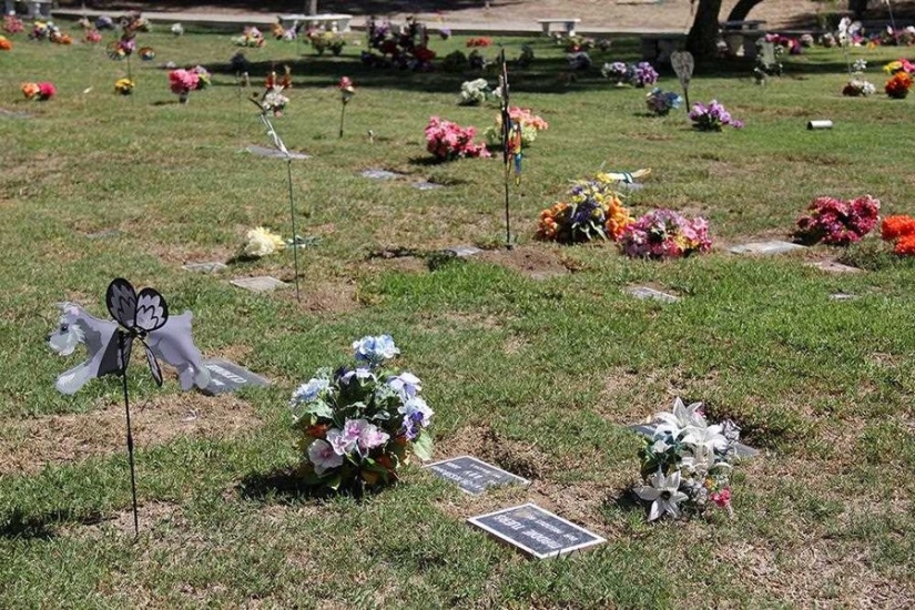 You&#39;ll Live Forever In Our Hearts: Los Angeles Pet Cemetery Photos