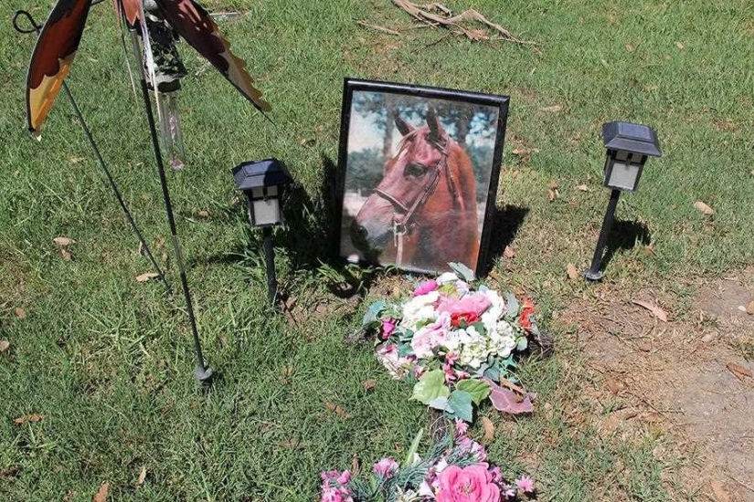 You&#39;ll Live Forever In Our Hearts: Los Angeles Pet Cemetery Photos