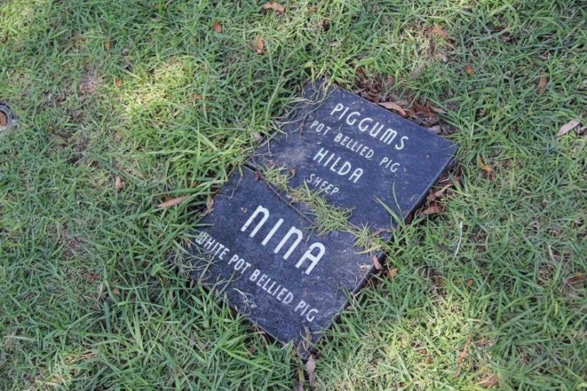 You&#39;ll Live Forever In Our Hearts: Los Angeles Pet Cemetery Photos