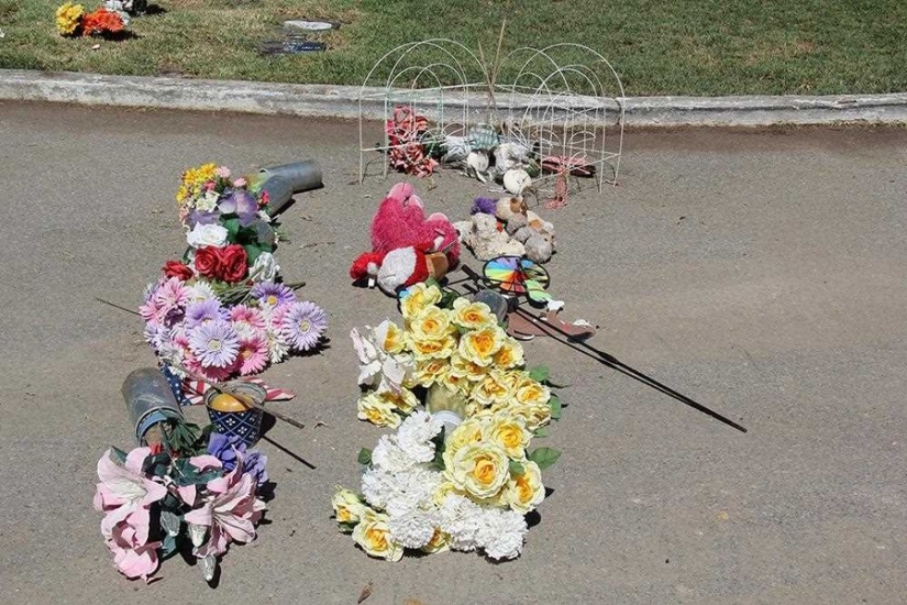 You&#39;ll Live Forever In Our Hearts: Los Angeles Pet Cemetery Photos