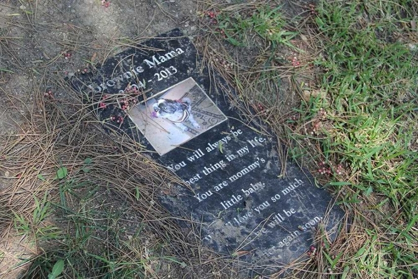 You&#39;ll Live Forever In Our Hearts: Los Angeles Pet Cemetery Photos