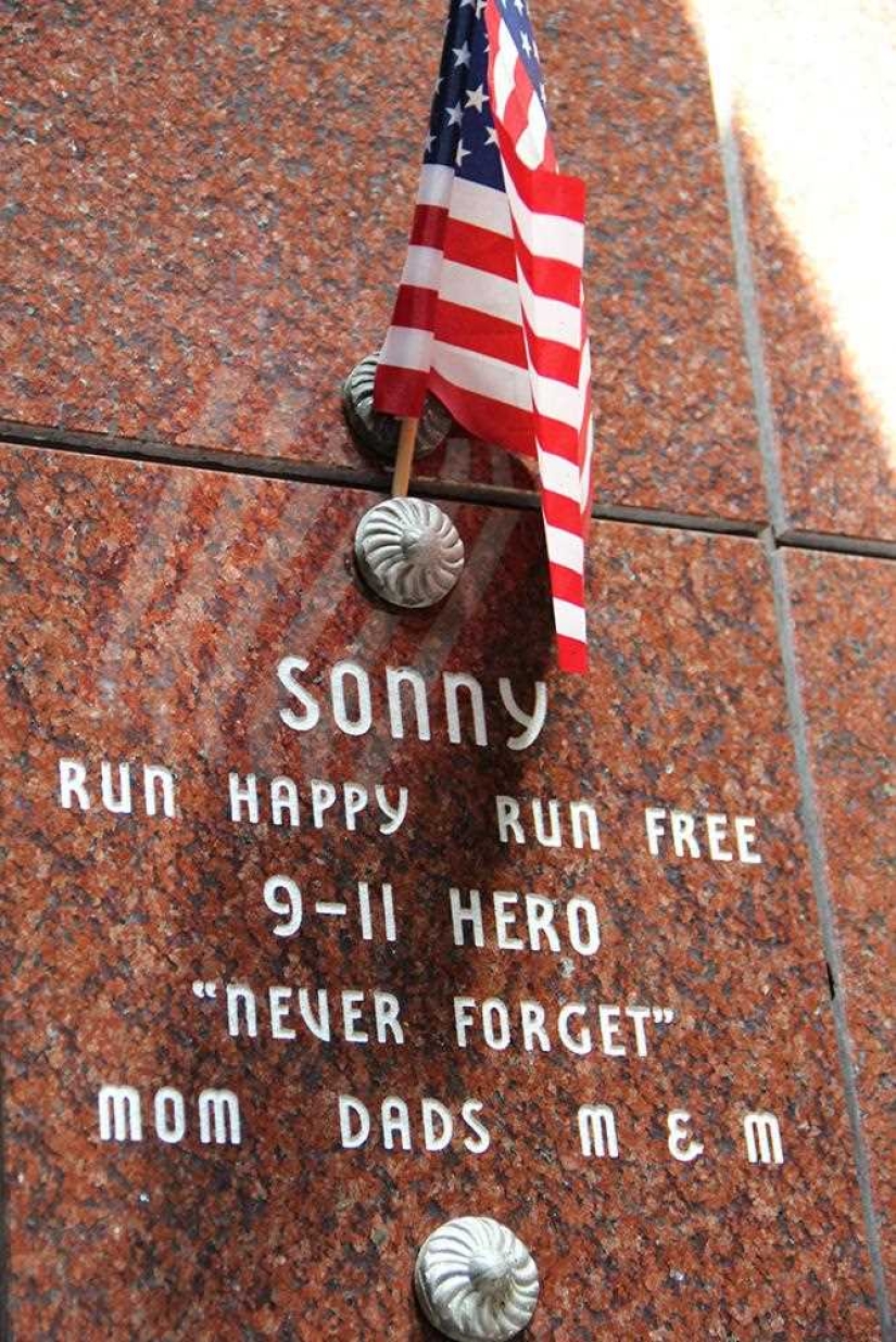 You&#39;ll Live Forever In Our Hearts: Los Angeles Pet Cemetery Photos