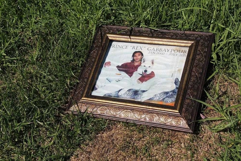 You&#39;ll Live Forever In Our Hearts: Los Angeles Pet Cemetery Photos