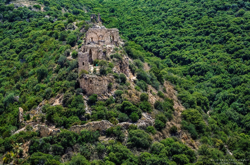 You'll never guess where: the mixing of world culture and nature in a small country in the middle East