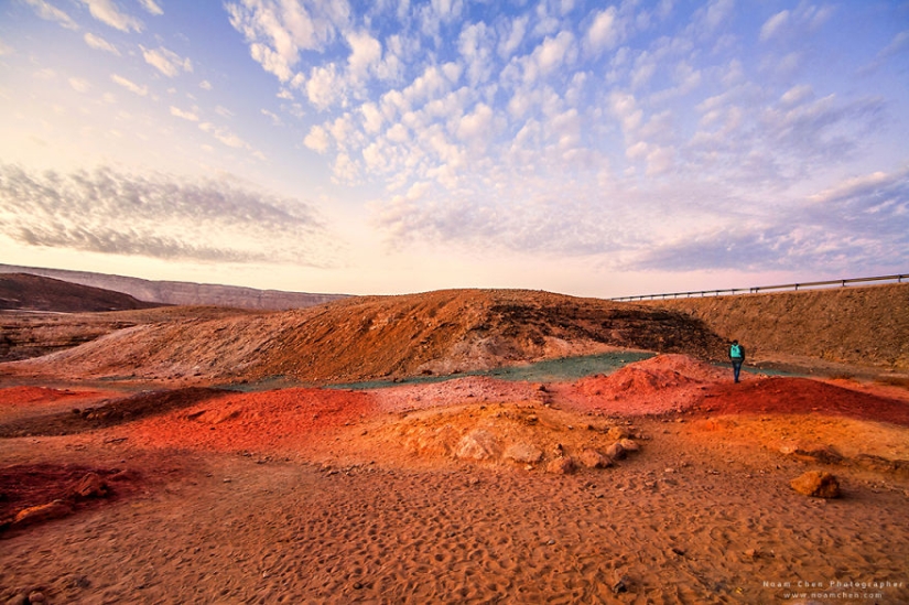 You'll never guess where: the mixing of world culture and nature in a small country in the middle East