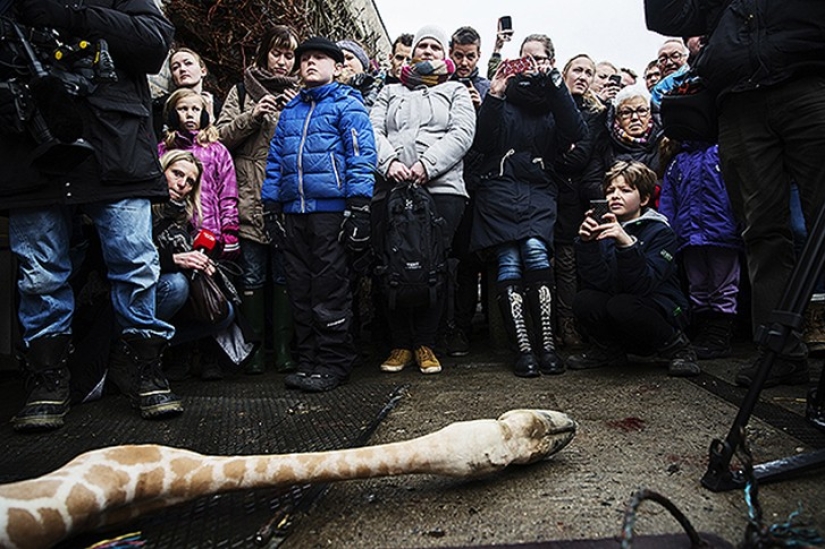 Zoo horrores de todo el mundo
