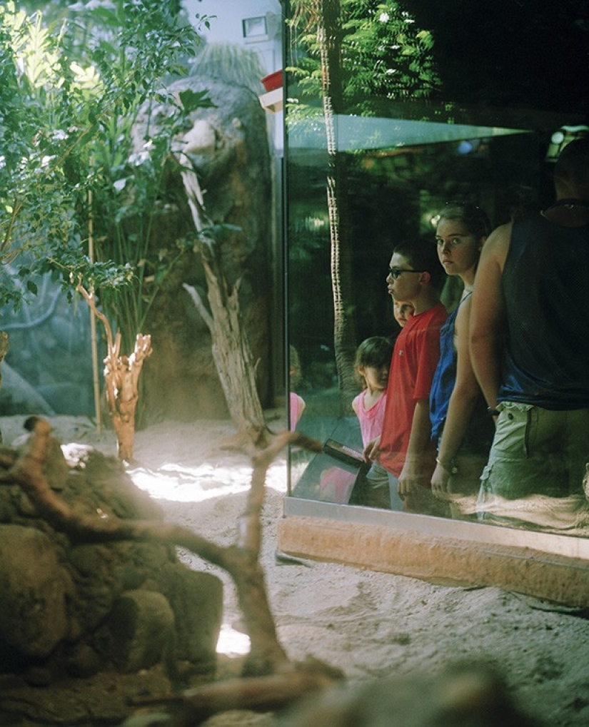 Zoo horrores de todo el mundo
