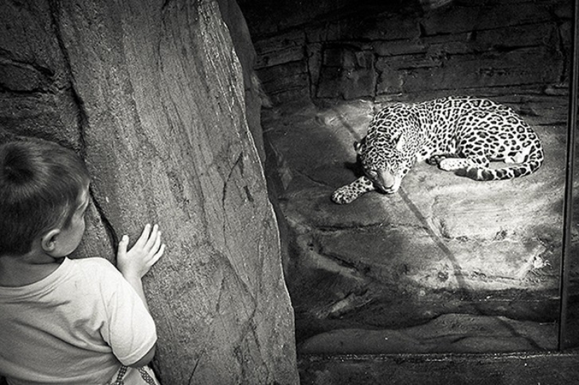 Zoo horrores de todo el mundo