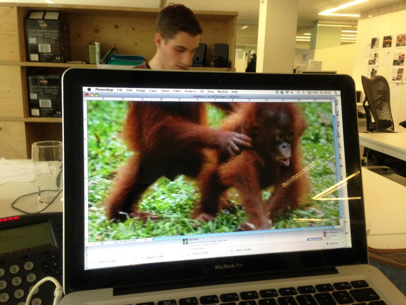 zoológico de oficina