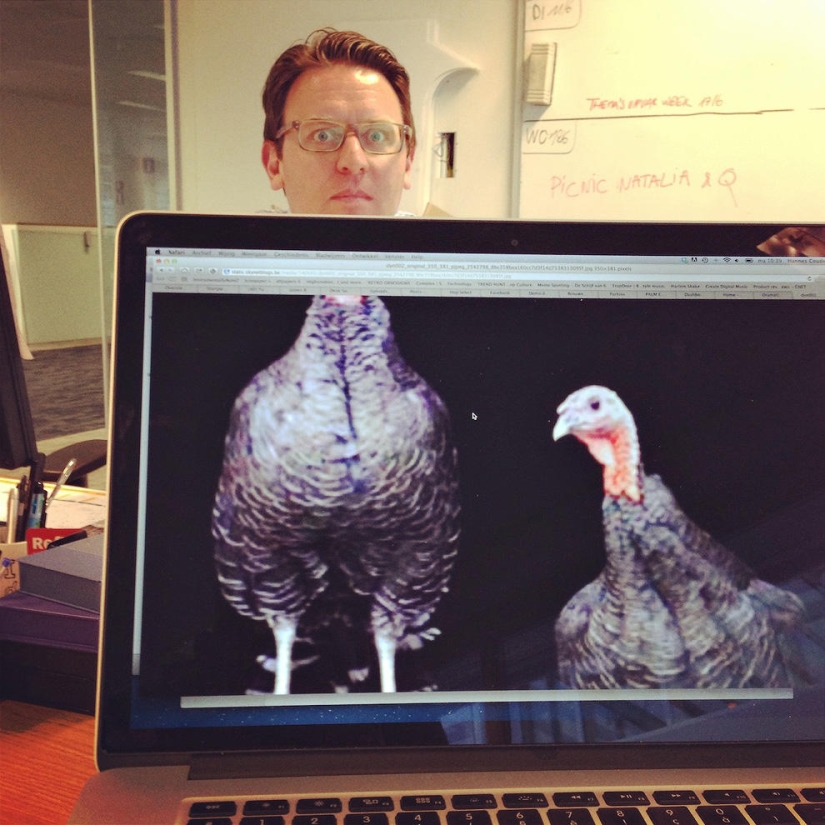 zoológico de oficina