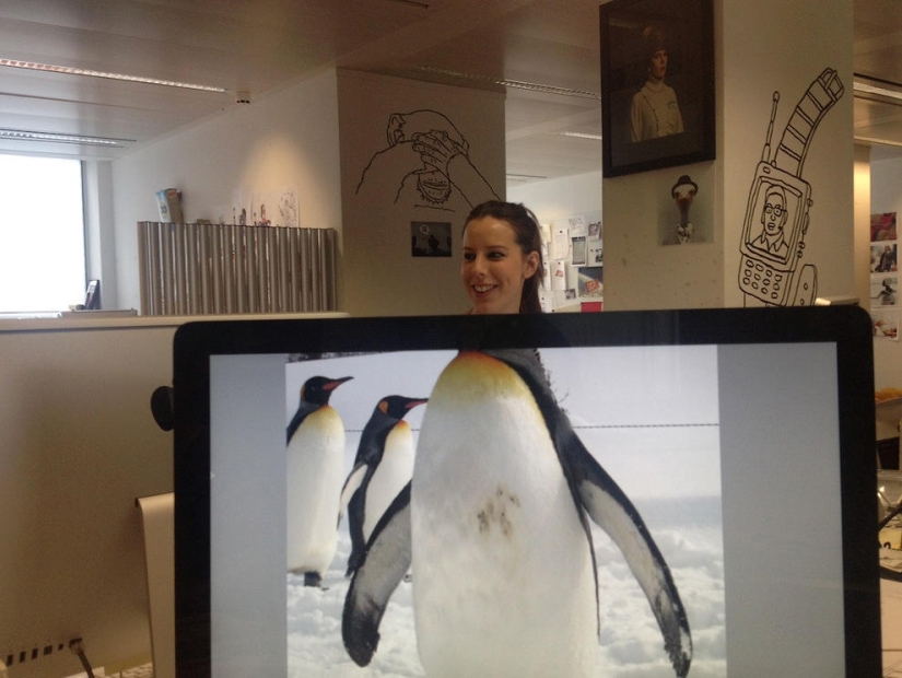 zoológico de oficina