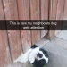 10 Adorable Animal Memes To Make Your Day At Least 99% Better 10 Adorable Animal Memes To Make Your Day At Least 99% Better