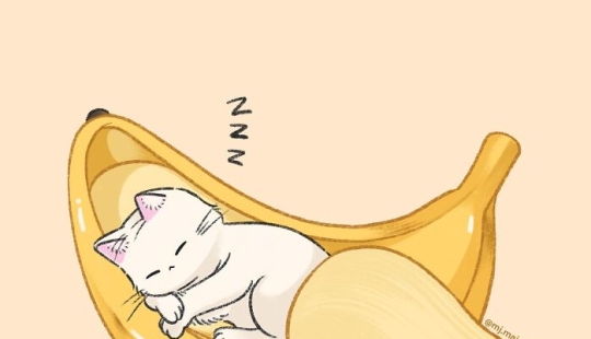 10 Adorable Cat Illustrations By This Artist That Are Taking Instagram By Storm