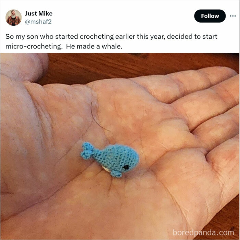 10 adorables memes de animales que harán que tu día sea al menos un 99 % mejor