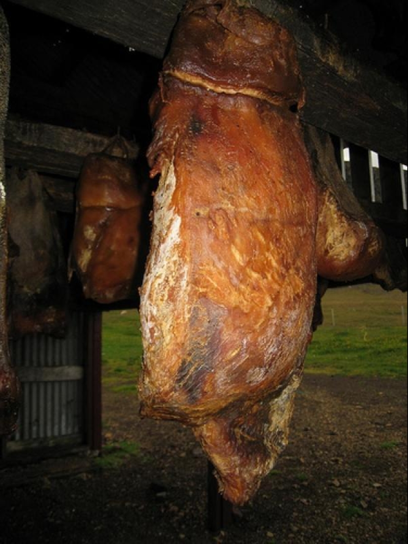 10 alimentos peligrosos 10 alimentos peligrosos