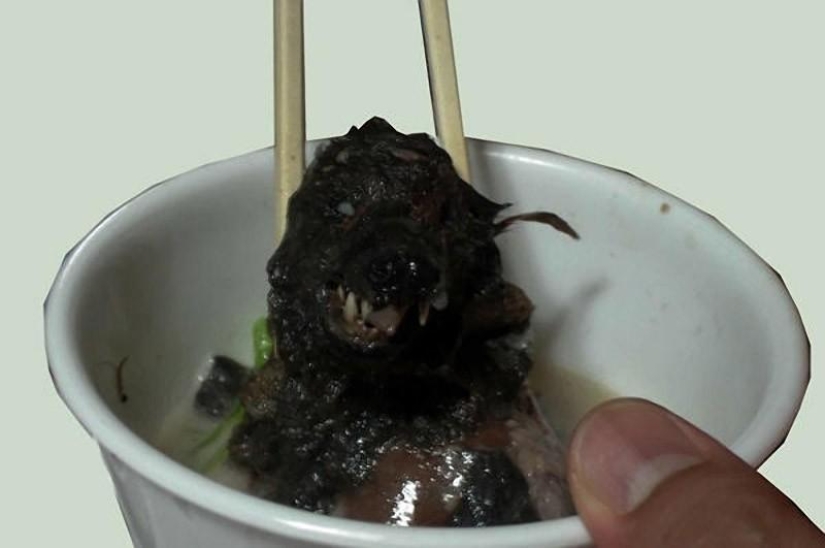 10 alimentos peligrosos 10 alimentos peligrosos
