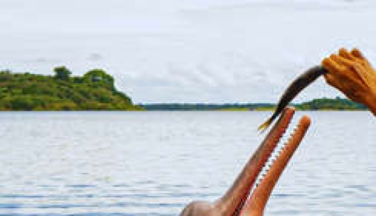 10 animals found only in Pakistan