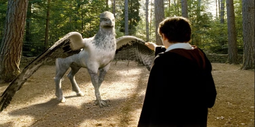 10 Best Minor Characters In Harry Potter Movies 10 Best Minor Characters In Harry Potter Movies