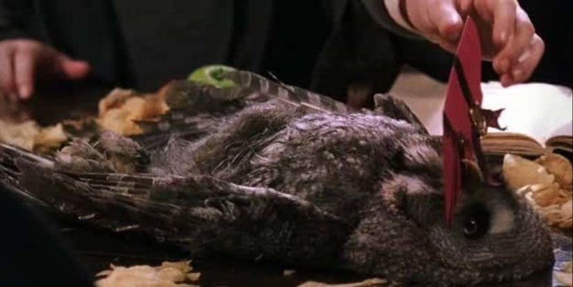 10 Best Minor Characters In Harry Potter Movies 10 Best Minor Characters In Harry Potter Movies