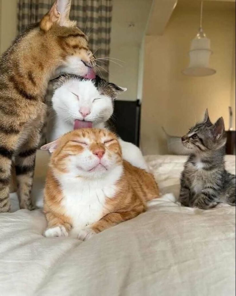 10 ‘Blessed Images’ That May Turn Your Day Around For The Better 10 ‘Blessed Images’ That May Turn Your Day Around For The Better