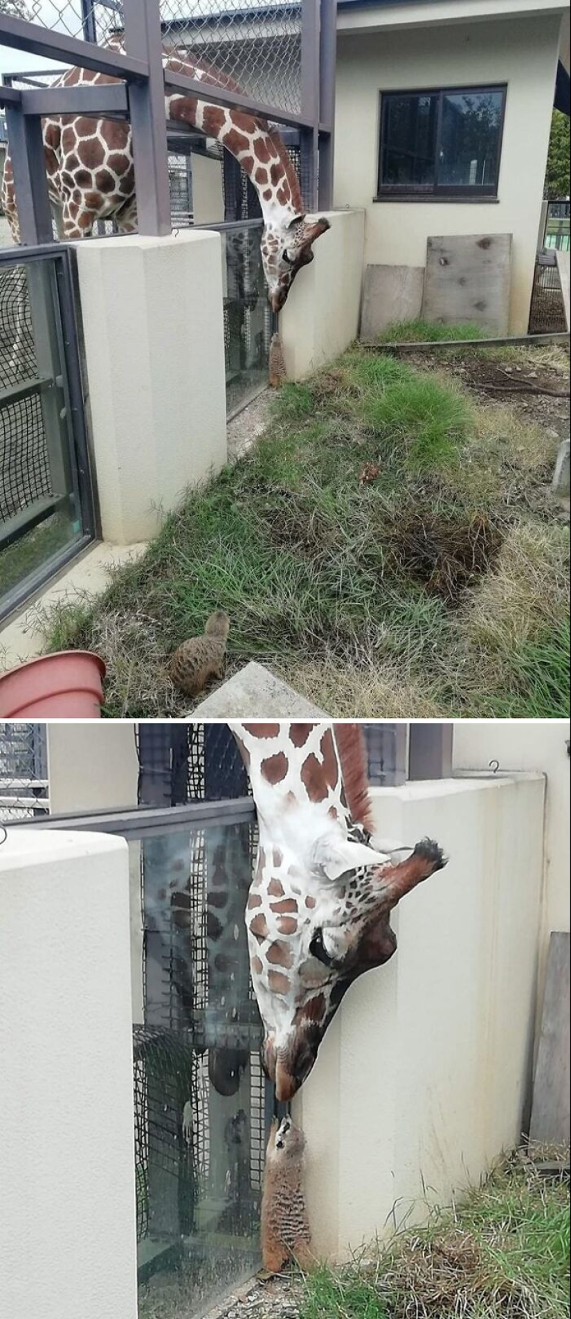 10 ‘Blessed Images’ That May Turn Your Day Around For The Better 10 ‘Blessed Images’ That May Turn Your Day Around For The Better