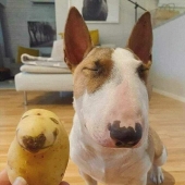 10 ‘Blessed Images’ That May Turn Your Day Around For The Better 10 ‘Blessed Images’ That May Turn Your Day Around For The Better