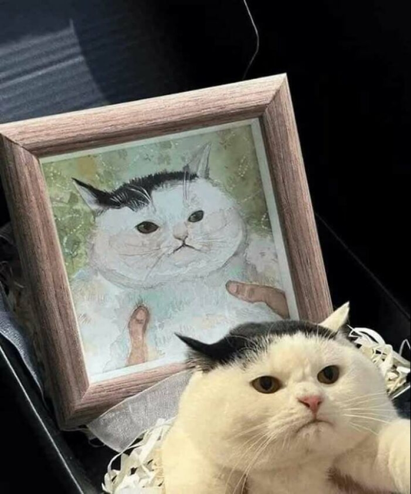 10 ‘Blessed Images’ That May Turn Your Day Around For The Better 10 ‘Blessed Images’ That May Turn Your Day Around For The Better