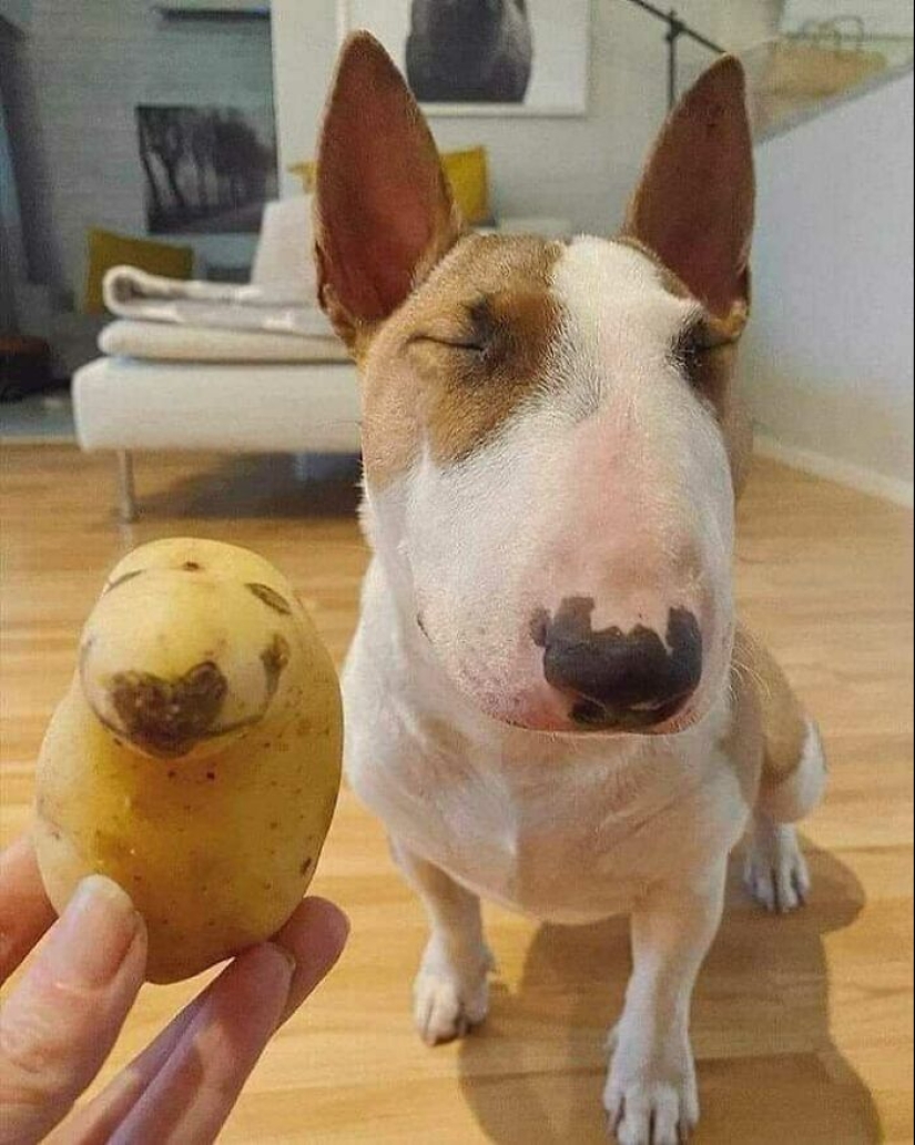10 ‘Blessed Images’ That May Turn Your Day Around For The Better 10 ‘Blessed Images’ That May Turn Your Day Around For The Better