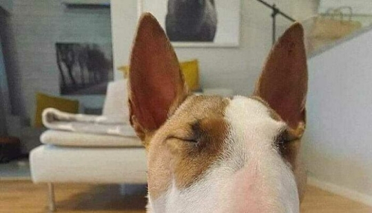 10 ‘Blessed Images’ That May Turn Your Day Around For The Better 10 ‘Blessed Images’ That May Turn Your Day Around For The Better