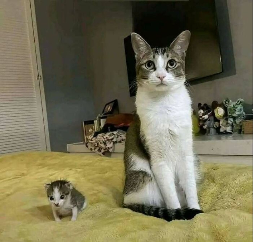10 ‘Blessed Images’ That May Turn Your Day Around For The Better 10 ‘Blessed Images’ That May Turn Your Day Around For The Better