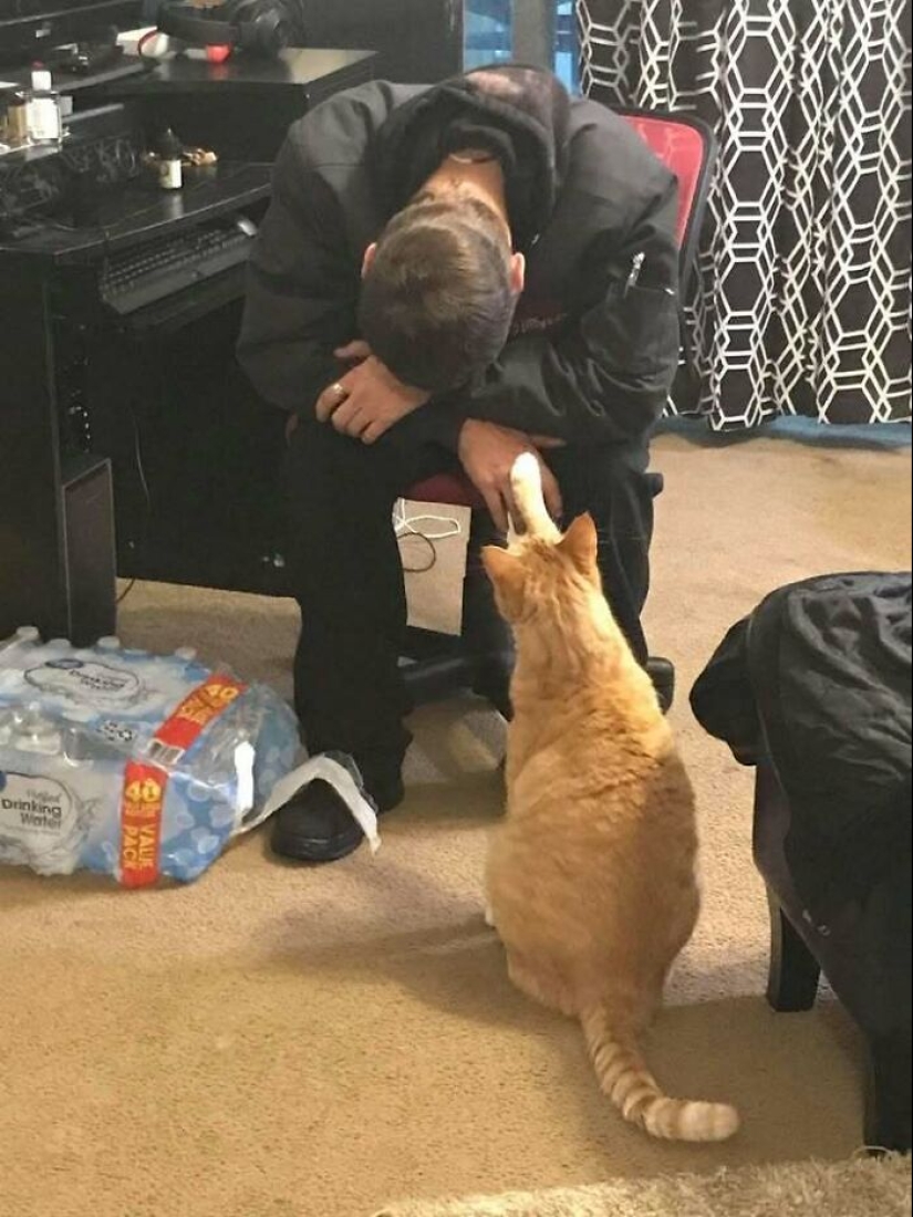 10 ‘Blessed Images’ That May Turn Your Day Around For The Better 10 ‘Blessed Images’ That May Turn Your Day Around For The Better