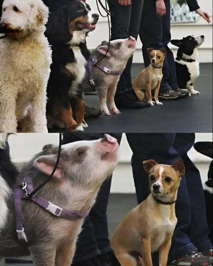 10 ‘Blessed Images’ That May Turn Your Day Around For The Better 10 ‘Blessed Images’ That May Turn Your Day Around For The Better